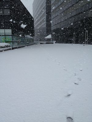 雪２.JPG